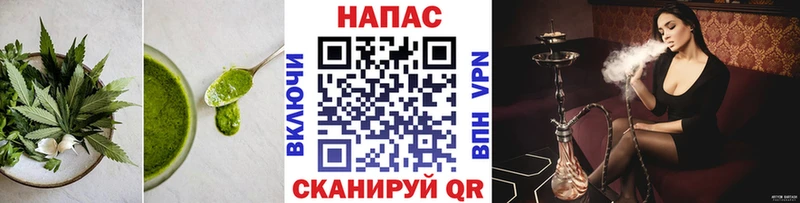 Cannafood конопля  Кондопога 